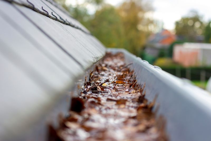 Clogged Gutter Debris