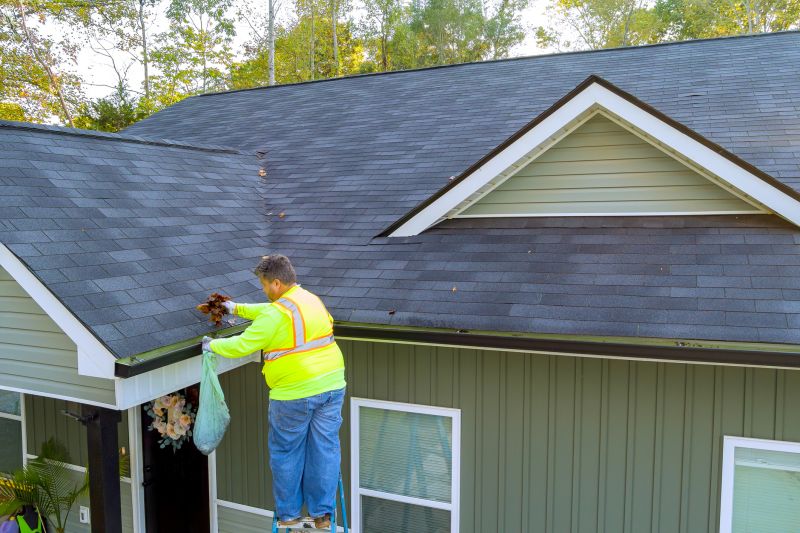 Gutter Maintenance in Wadsworth